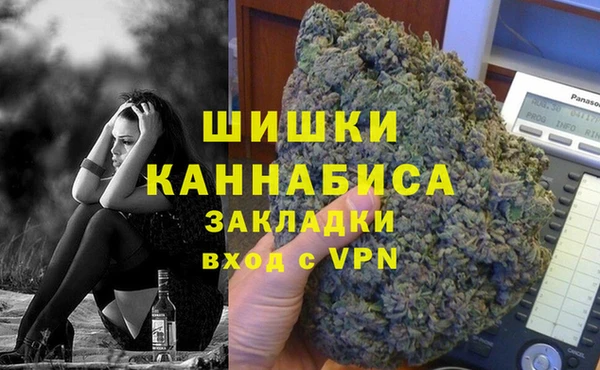 индика Балахна